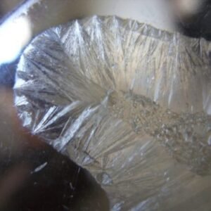 Buy Pure Mescaline HCI Australia