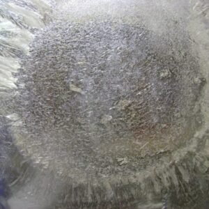 Buy Pure Mescaline HCI Australia