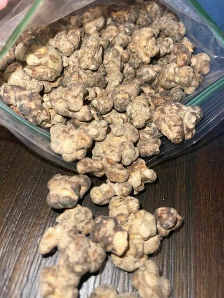 Buy Truffle Mushroom Australia - Image 2