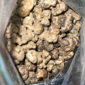 Buy Truffle Mushroom Australia