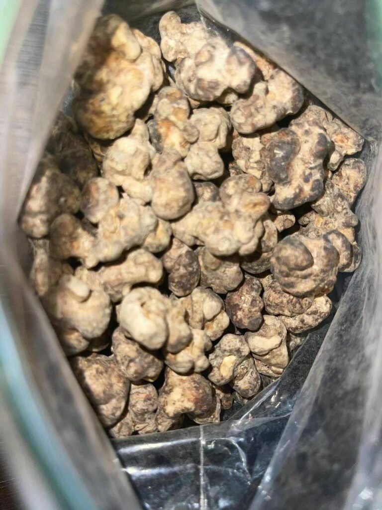 Buy Truffle Mushroom Australia