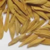 Strophanthus Gratus Seeds