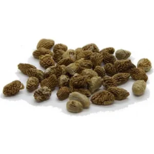 Buy Ibogaine Online