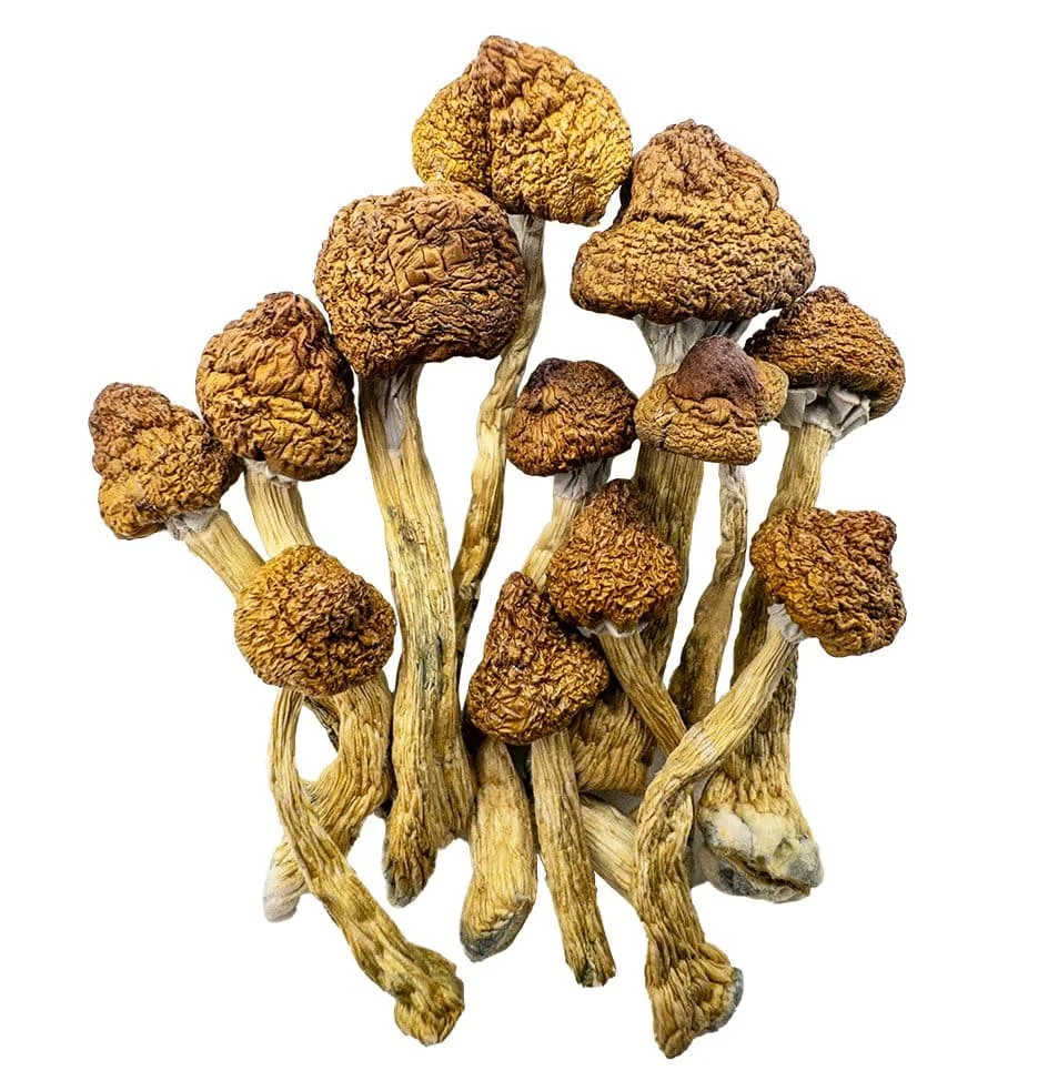 Brazilian Mushroom Strain